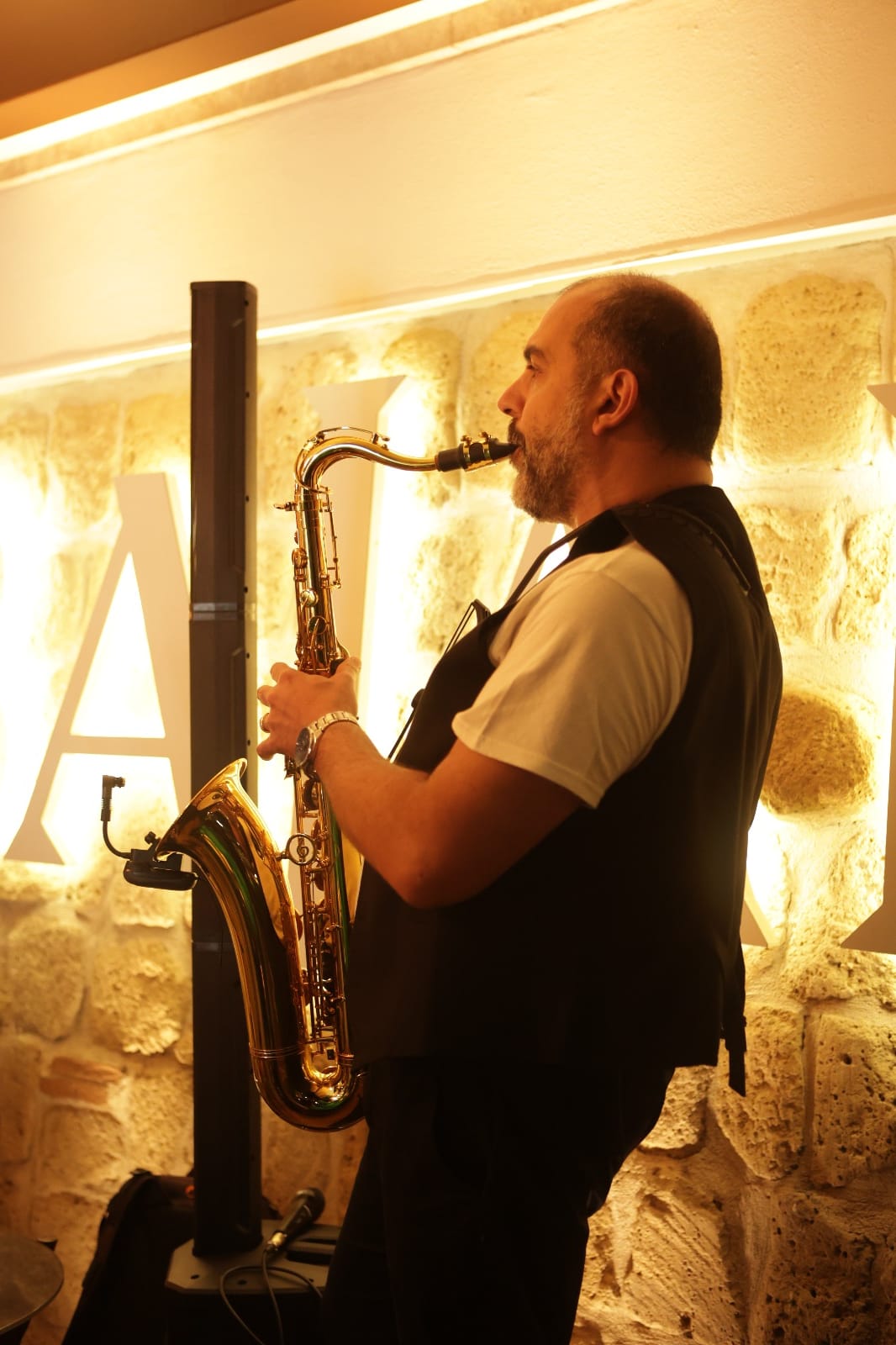Stefano dal vivo